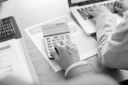 A greyscale photo of a person working together with a tax expert to prepare for a revenue officer's visit.